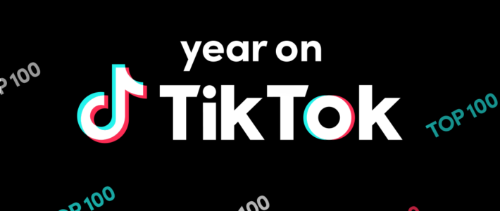 TikTok : les meilleures vidéos de 2020